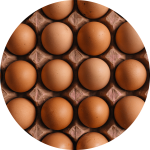 تخم مرغ و فراورده های مرتبط